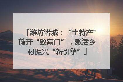 潍坊诸城：“土特产”敲开“致富门”，激活乡村振兴“新引擎”