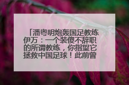 潘粤明炮轰国足教练伊万：一个装傻不辞职的所谓教练，你指望它拯救中国足球！此前曾多次发文评价国足