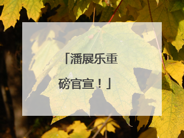潘展乐重磅官宣！