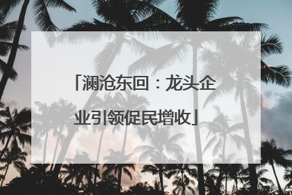 澜沧东回：龙头企业引领促民增收