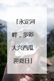 永定河畔，多彩大兴西瓜迎夏日