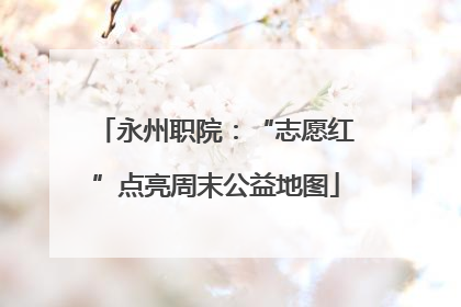 永州职院：“志愿红”点亮周末公益地图