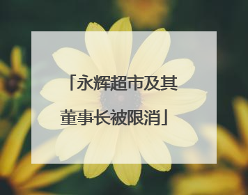 永辉超市及其董事长被限消