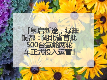 氢启新途，绿耀铜都：湖北省首批500台氢能两轮车正式投入运营