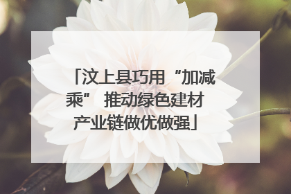 汶上县巧用“加减乘” 推动绿色建材产业链做优做强