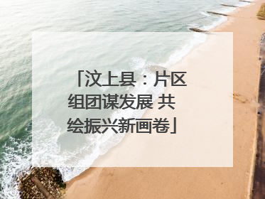 汶上县：片区组团谋发展 共绘振兴新画卷