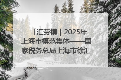 汇劳模｜2025年上海市模范集体——国家税务总局上海市徐汇区税务局第一税务所