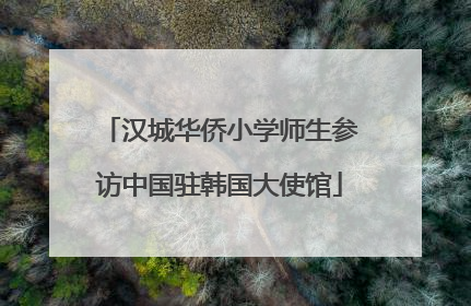 汉城华侨小学师生参访中国驻韩国大使馆