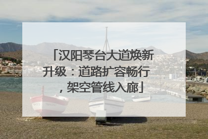 汉阳琴台大道焕新升级：道路扩容畅行，架空管线入廊