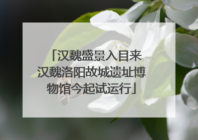 汉魏盛景入目来 汉魏洛阳故城遗址博物馆今起试运行