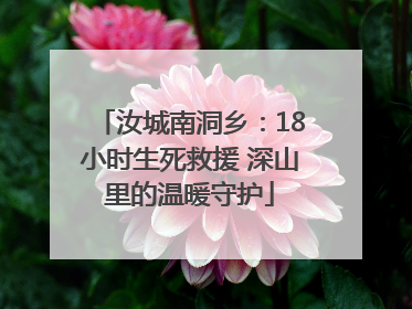 汝城南洞乡：18小时生死救援 深山里的温暖守护