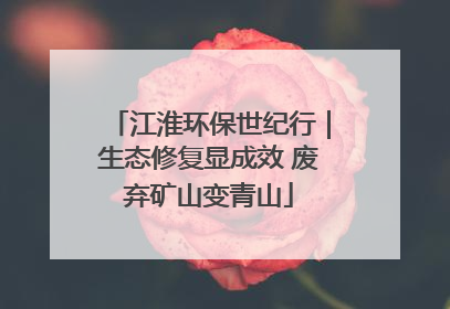 江淮环保世纪行｜生态修复显成效 废弃矿山变青山
