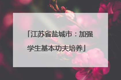 江苏省盐城市：加强学生基本功夫培养