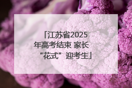 江苏省2025年高考结束 家长“花式”迎考生