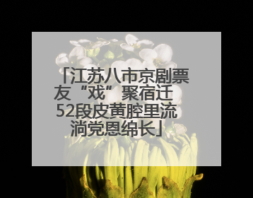 江苏八市京剧票友“戏”聚宿迁 52段皮黄腔里流淌党恩绵长