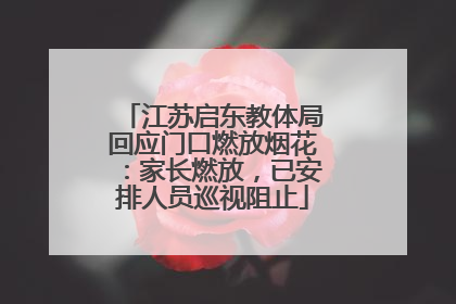 江苏启东教体局回应门口燃放烟花：家长燃放，已安排人员巡视阻止