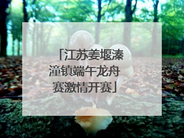 江苏姜堰溱潼镇端午龙舟赛激情开赛