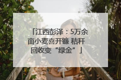 江西彭泽：5万余亩小麦喜开镰 秸秆回收变“绿金”
