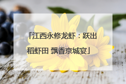 江西永修龙虾：跃出稻虾田 飘香京城宴