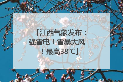 江西气象发布：强雷电！雷暴大风！最高38℃