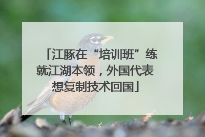 江豚在“培训班”练就江湖本领，外国代表想复制技术回国