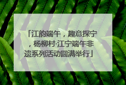 江韵端午，趣意探宁，杨柳村·江宁端午非遗系列活动圆满举行
