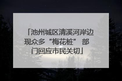 池州城区清溪河岸边现众多“梅花桩” 部门回应市民关切