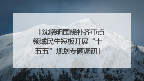 沈晓明围绕补齐重点领域民生短板开展“十五五”规划专题调研