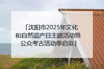 沈阳市2025年文化和自然遗产日主题活动暨公众考古活动季启幕