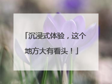 沉浸式体验，这个地方大有看头！