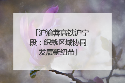 沪渝蓉高铁沪宁段：织就区域协同发展新纽带