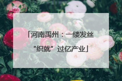 河南禹州：一缕发丝“织就”过亿产业