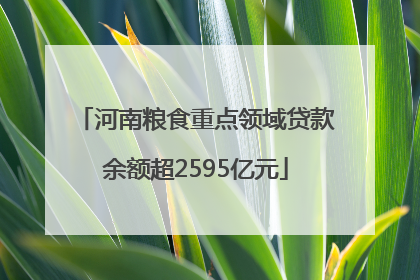 河南粮食重点领域贷款余额超2595亿元