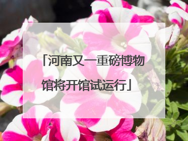 河南又一重磅博物馆将开馆试运行