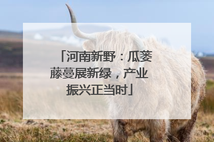 河南新野：瓜蒌藤蔓展新绿，产业振兴正当时