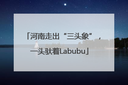 河南走出“三头象”，一头驮着Labubu