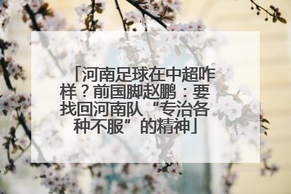 河南足球在中超咋样？前国脚赵鹏：要找回河南队“专治各种不服”的精神