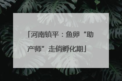 河南镇平：鱼卵“助产师”走俏孵化期