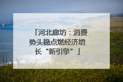 河北廊坊：消费势头稳点燃经济增长“新引擎”