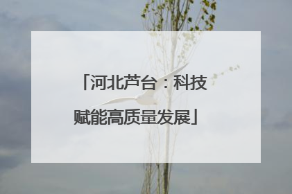 河北芦台：科技赋能高质量发展