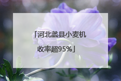 河北蠡县小麦机收率超95%