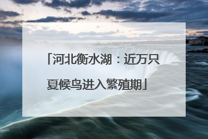 河北衡水湖：近万只夏候鸟进入繁殖期