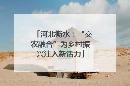 河北衡水：“交农融合”为乡村振兴注入新活力