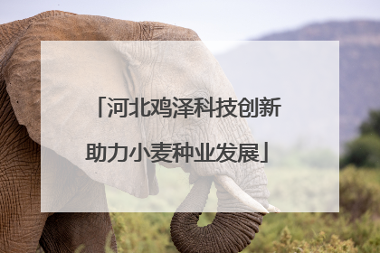 河北鸡泽科技创新助力小麦种业发展