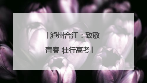 泸州合江：致敬青春 壮行高考