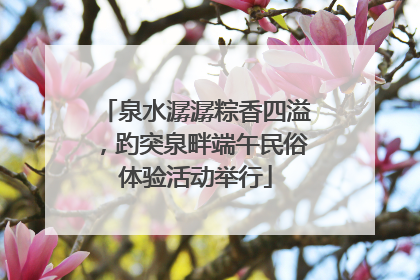 泉水潺潺粽香四溢，趵突泉畔端午民俗体验活动举行