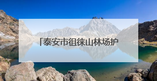 泰安市徂徕山林场护林员邓兴法：37年扎根林场的绿色守护者