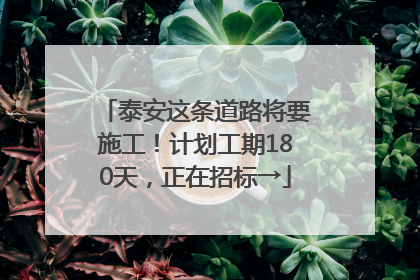 泰安这条道路将要施工！计划工期180天，正在招标→