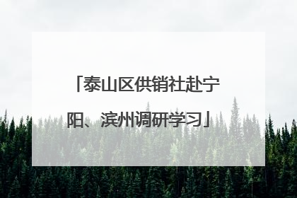 泰山区供销社赴宁阳、滨州调研学习