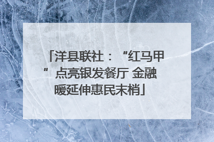 洋县联社：“红马甲”点亮银发餐厅 金融暖延伸惠民末梢